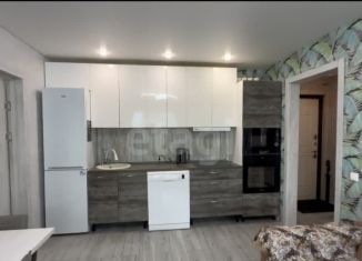 Трехкомнатная квартира на продажу, 56 м2, Тюмень, улица Павла Шарова, 3к1