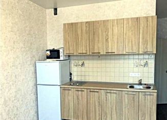 Сдаю квартиру студию, 28 м2, Новосибирск, Плановая улица, 50, метро Заельцовская