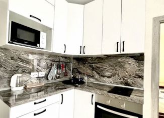 Сдам 1-комнатную квартиру, 45 м2, Хабаровск, улица Запарина, 154