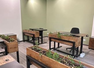 Сдам помещение свободного назначения, 214 м2, Ростов-на-Дону, Большая Садовая улица, 176, Кировский район