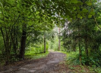 Продается земельный участок, 19.1 сот., деревня Калчуга, деревня Калчуга, 39