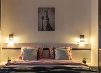 Сдается в аренду квартира студия, 24 м2, Санкт-Петербург, Славянская улица, 8, ЖК Живи в Рыбацком