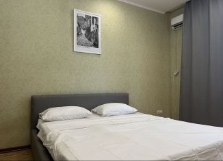 Сдам в аренду 1-комнатную квартиру, 49 м2, Саратов, Вольский переулок, 15к2