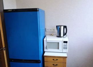 Сдаю 1-комнатную квартиру, 33 м2, Санкт-Петербург, 2-я Комсомольская улица, 51, Красносельский район