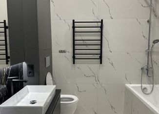 Сдается в аренду 1-ком. квартира, 50 м2, Татарстан, улица Абубекира Терегулова, 8