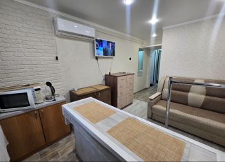 Продажа 1-комнатной квартиры, 18.1 м2, Сочи, Гранатная улица, 4, микрорайон Донская