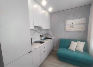 Сдается однокомнатная квартира, 42 м2, Ростов-на-Дону, Доломановский переулок, 82