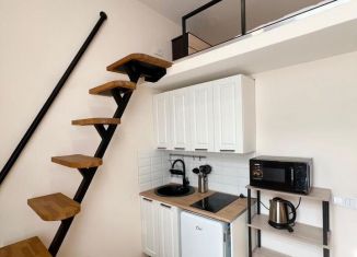 Сдаю квартиру студию, 18 м2, Санкт-Петербург, Кузнечный переулок, 14А