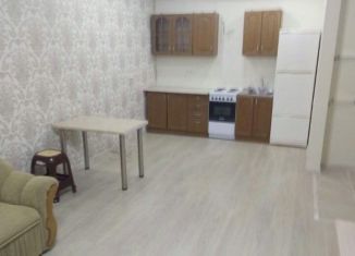 Сдаю 2-ком. квартиру, 50 м2, Ростов-на-Дону, проспект Шолохова, 211/1с1