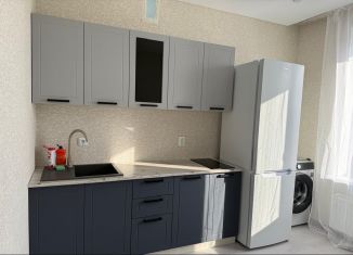 Аренда 2-комнатной квартиры, 60 м2, Республика Башкортостан, улица Даяна Мурзина, 13