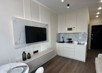 Сдача в аренду квартиры студии, 18 м2, Сочи, микрорайон Бытха, Ясногорская улица, 16/8к1