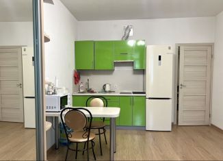 Продажа квартиры студии, 26.1 м2, Санкт-Петербург, Арцеуловская аллея, ЖК Чистое Небо