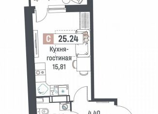 Продажа квартиры студии, 25.2 м2, Мурино, ЖК Авиатор