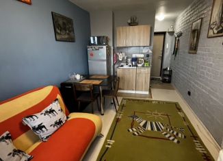 Сдаю квартиру студию, 19.4 м2, Санкт-Петербург, Загребский бульвар, 21