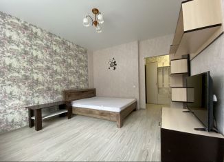 Однокомнатная квартира в аренду, 38 м2, Калининград, Краснопрудная улица, 67