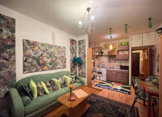 Сдача в аренду квартиры студии, 26 м2, Санкт-Петербург, улица Ткачей, 68к2