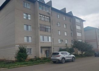 Продаю двухкомнатную квартиру, 50.5 м2, Татарстан, улица Изыскателей, 4/10