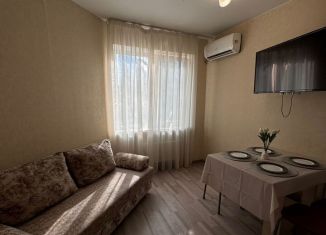 Сдается в аренду двухкомнатная квартира, 70 м2, Саратов, улица имени В.Н. Симбирцева, 40А