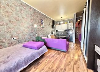 Продаю квартиру студию, 29.1 м2, Санкт-Петербург, Туристская улица, 10к1