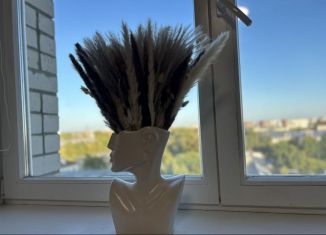 Сдается в аренду 1-ком. квартира, 33 м2, Вологда, Пролетарская улица, 74