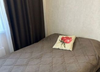 Сдаю в аренду квартиру студию, 24 м2, Нижний Новгород, проспект Кораблестроителей, 62