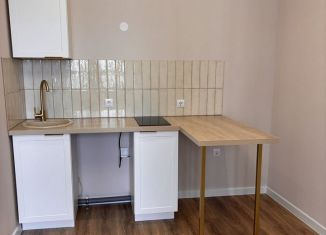 Сдаю в аренду квартиру студию, 24 м2, Пермь, улица Елькина, 14