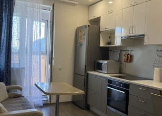 Сдача в аренду однокомнатной квартиры, 40 м2, Санкт-Петербург, проспект Героев, 18, Красносельский район