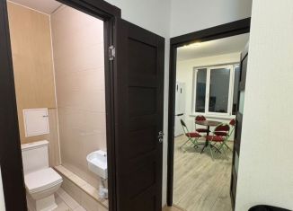 Сдается в аренду 2-ком. квартира, 53 м2, Мурино, Петровский бульвар, 11к1