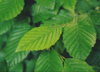 Продам гараж, 22 м2, Сухой Лог