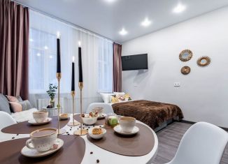 Сдам в аренду квартиру студию, 30 м2, Санкт-Петербург, Малая Посадская улица, 25/4
