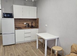 Продажа квартиры студии, 20.9 м2, Мурино, ЖК Ромашки, улица Шоссе в Лаврики, 95