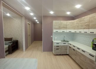 Сдаю в аренду 1-комнатную квартиру, 45 м2, Благовещенск, Заводская улица, 2