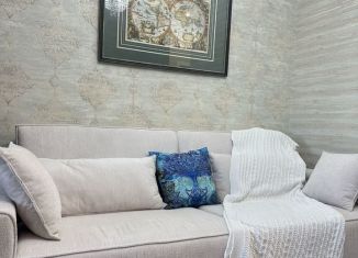 1-ком. квартира в аренду, 46 м2, Ростов-на-Дону, переулок Островского, 1А