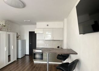 Продается квартира студия, 24.1 м2, Санкт-Петербург, ЖК Солнечный Город, проспект Ветеранов, 171к5