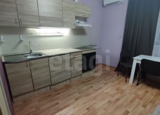 Сдам в аренду квартиру студию, 23 м2, Тюмень, Верхнетарманская улица, 1, ЖК Новый Мыс 2.0