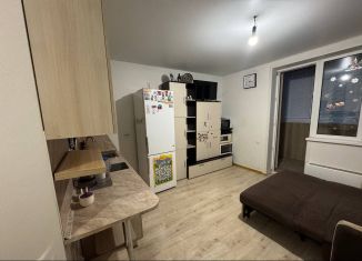 Сдаю квартиру студию, 25 м2, Тюмень, улица Фармана Салманова, 8