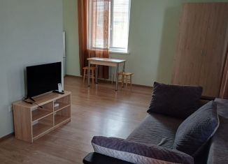 Сдам в аренду однокомнатную квартиру, 45 м2, Аксай, Садовая улица, 30/5