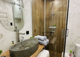 Квартира в аренду студия, 25 м2, Татарстан, улица Анаса Тазетдинова, 7к2