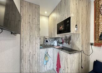 Сдается 1-ком. квартира, 30 м2, Сочи, улица Искры, 62