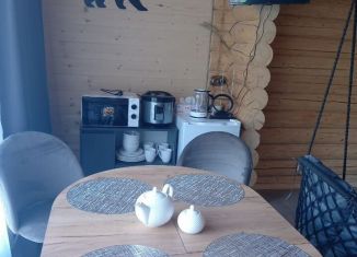 Сдача в аренду дома, 26 м2, Республика Алтай, площадь имени Станислава Мохова