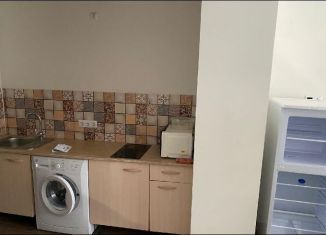 Квартира в аренду студия, 24 м2, Новосибирск, улица Владимира Заровного, 38, Октябрьский район