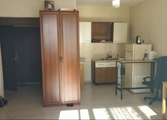Квартира в аренду студия, 34 м2, Новосибирск, Обская улица, 82, Октябрьский район