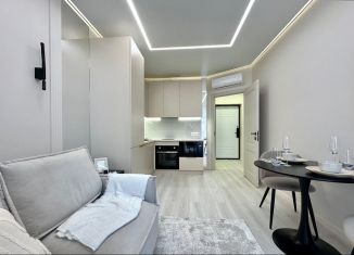 1-ком. квартира на продажу, 32.1 м2, Сочи, переулок Трунова, 6к7, микрорайон Завокзальный