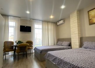 Сдается в аренду квартира студия, 28 м2, Сочи, Православная улица, 15/7А