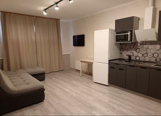 Сдаю квартиру студию, 25 м2, Тюмень, улица Павла Никольского, 2