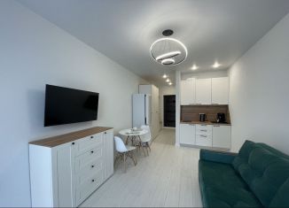 Сдается в аренду квартира студия, 24 м2, Сочи, Ясногорская улица, 16/8к3