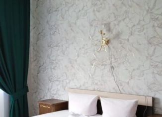 Сдается в аренду 1-комнатная квартира, 33 м2, Балаково, улица Набережная Леонова