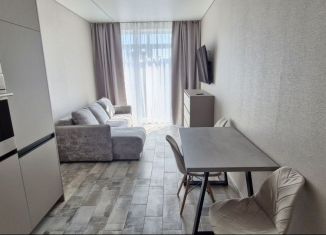 Сдается 1-ком. квартира, 46 м2, Калининград, улица Героя России Катериничева, 9к1