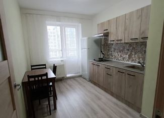 Сдача в аренду 1-комнатной квартиры, 31 м2, городской посёлок Янино-1, Голландская улица, 10