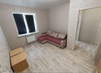 Сдача в аренду однокомнатной квартиры, 30 м2, Губкин, Преображенская улица, 15